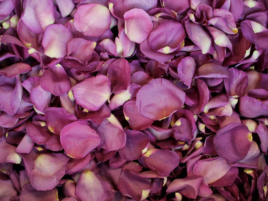 Freeze Dried Rose Petals - Gemstone