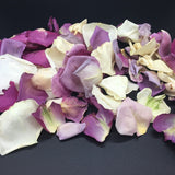 Rose Petals, Real Freeze Dried Ivory and Purple Petals for Pathways, 70 cups