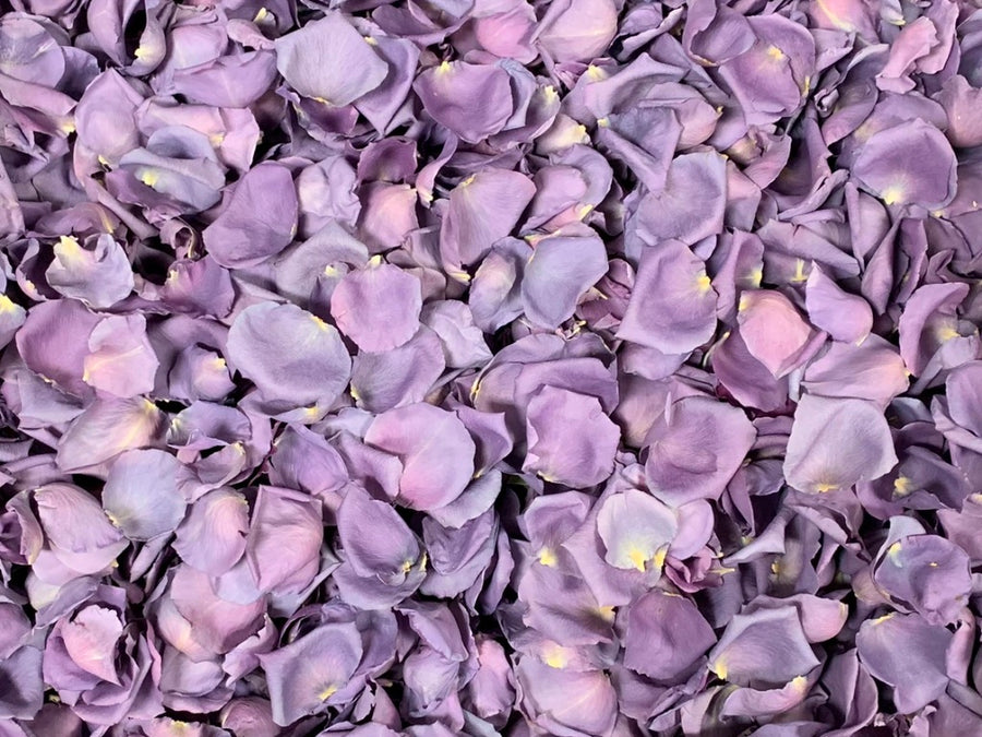 Freeze Dried Rose Petals - Mystic