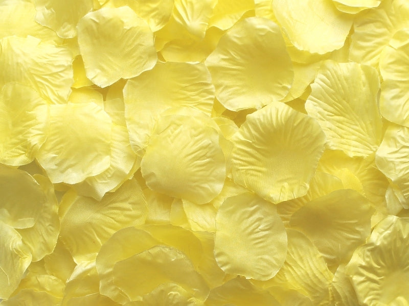 Pale Yellow Aisle Rose Petals, 500 petals