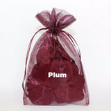 5x8 Organza Bag