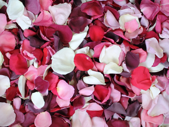 Freeze Dried Rose Petals - Romance Blend
