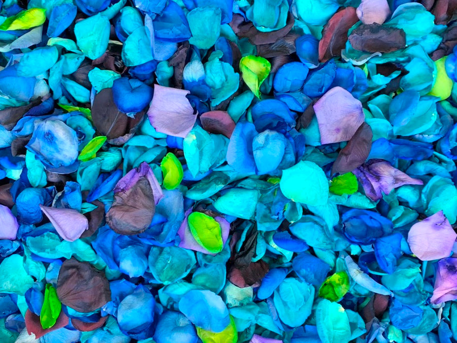 Rose Petals, Dyed Colors, Real Freeze Dried Bulk Budget Petals, 100 cups