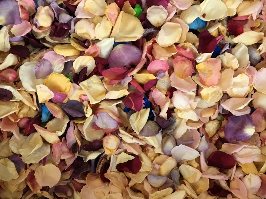 Rose Petals, Real Assorted Freeze Dried Bulk Budget Petals, 100 cups