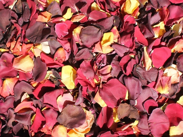 Rose Petals, Harvest Blend of Real Freeze Dried Petals for Pathways, 70 cups