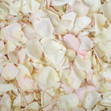 Rose Petals, Real Freeze Dried Blush & Ivory Petals for Pathways, 70 cups
