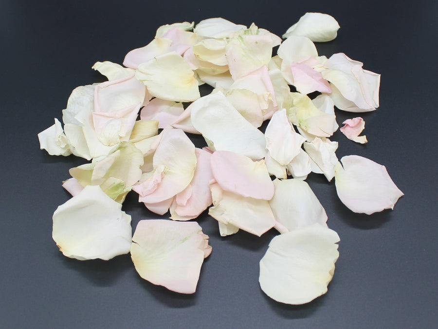 Rose Petals, Real Freeze Dried Blush & Ivory Petals for Pathways, 70 cups