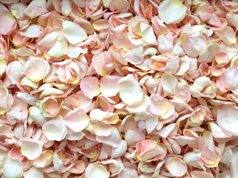 Rose Petals, REAL Freeze Dried Petals, 5 cups
