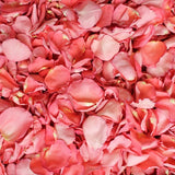 Freeze Dried Rose Petals - Flamingo