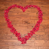 Freeze Dried Rose Petals - Romantic Red