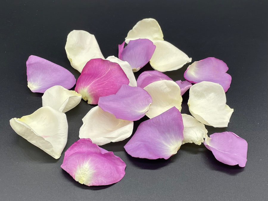 Freeze Dried Rose Petals - Ivory/Lilac Blend