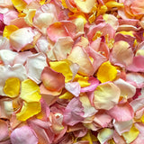 Rose Petals, Real Freeze Dried Petals in Pinks, Orange, and Yellow for Pathways, 70 cups