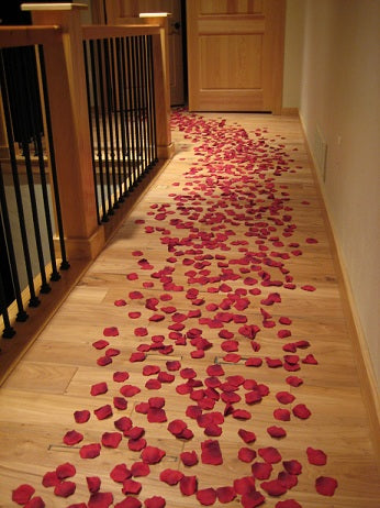 Red Rose Petals and Candles