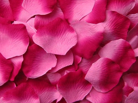 Berry Silk Rose Petals, Value Pack 1000 Petals
